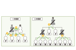 二次相続により法定相続人が多数いる底地の整理
