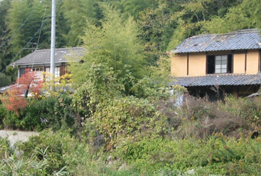 借地権の買い取り～最適な売却先は？のサムネイルイメージ